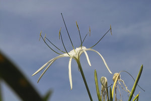 IMG00005.jpg IMG00005.jpg