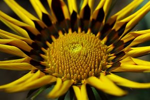 SAM_6019.jpg SAM_6019.jpg