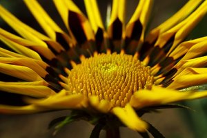 SAM_6020.jpg SAM_6020.jpg