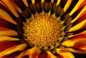 SAM_6022.jpg SAM_6022.jpg