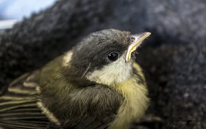 500-Tag1.jpg 500-Tag1.jpg