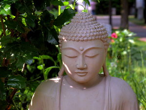 Budda1000.jpg