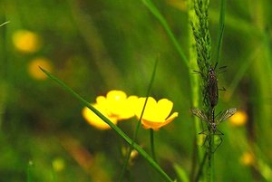 was machen die da.JPG