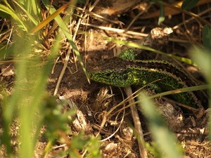 2012-05-14 179.jpg 2012-05-14 179.jpg