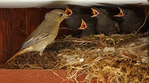 Seit ihr immer noch nicht satt-1_bearbeitet-1.jpg