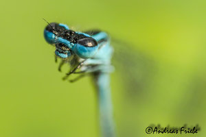 SDIM6009.jpg SDIM6009.jpg