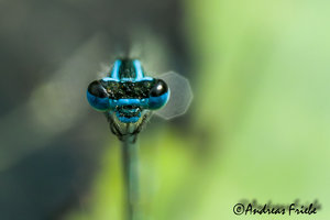 SDIM6029.jpg SDIM6029.jpg