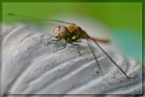 21_sample_2.jpg 21_sample_2.jpg