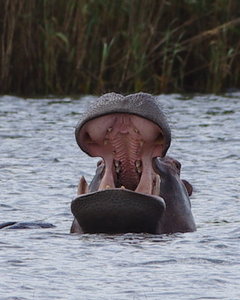 IMGP2127-001.JPG IMGP2127-001.JPG