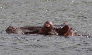 IMGP2147.JPG IMGP2147.JPG