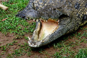 IMGP5569.JPG IMGP5569.JPG