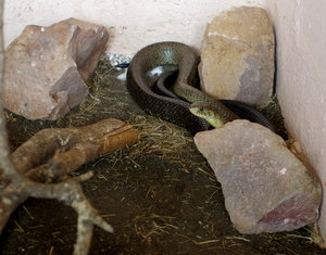 IMGP2549.JPG IMGP2549.JPG