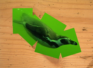 IMG_2252_2 500px.jpg