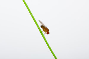 IMG_3224_3 500px.jpg