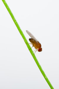 IMG_3224_3 hochkant 1500px.jpg