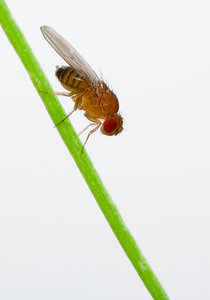 IMG_3224_3 hochkant 1500px.jpg