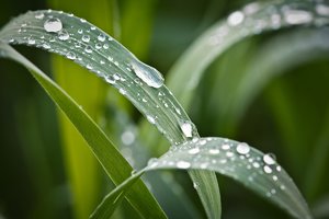 Bild 2.JPG Bild 2.JPG