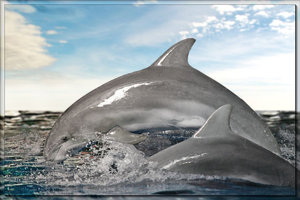 Bild 5.jpg Bild 5.jpg