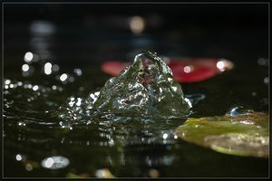 Bild 7.JPG Bild 7.JPG