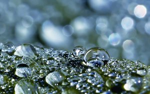 Bild 8.JPG Bild 8.JPG