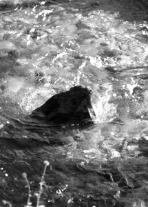 Bild 14.JPG Bild 14.JPG