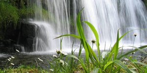 Bild 15.JPG Bild 15.JPG