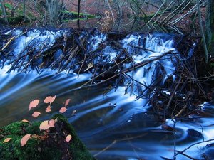 Bild 16.JPG Bild 16.JPG