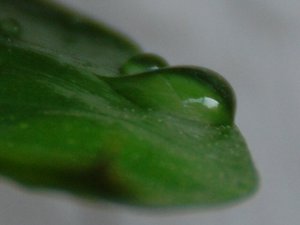 Bild 18.JPG Bild 18.JPG