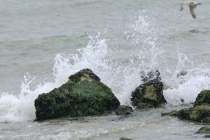 Bild 22.JPG Bild 22.JPG