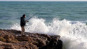 Bild 28.JPG Bild 28.JPG