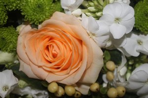 IMG_7891 (Large).JPG