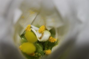 IMG_7899 (Large).JPG