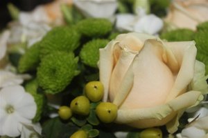 IMG_7893 (Large).JPG