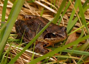 _MG_77522.jpg _MG_77522.jpg