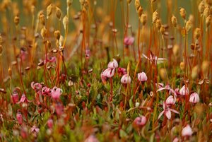 _MG_81672.JPG _MG_81672.JPG