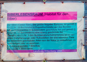 2012_04_08_SD9_Kuelso_Biberschild_0076_1200pix.jpg 2012_04_08_SD9_Kuelso_Biberschild_0076_1200pix.jpg