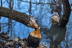 DSC_6648.jpg DSC_6648.jpg