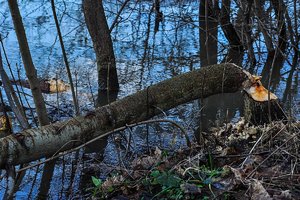 DSC_6649.jpg DSC_6649.jpg