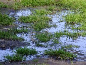 September 2011 307.JPG