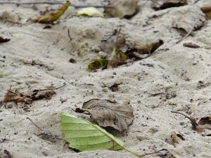 September 2011 475.JPG