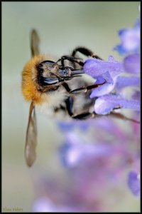 Sample 54.jpg Sample 54.jpg