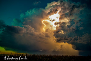 IMG_20070823_0101.jpg IMG_20070823_0101.jpg