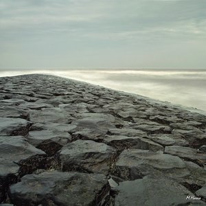 19_SDIM9819.jpg 19_SDIM9819.jpg