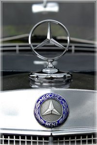 comp_MBSternAlt (Large).jpg