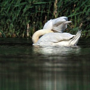 comp_SDIM0989.jpg comp_SDIM0989.jpg