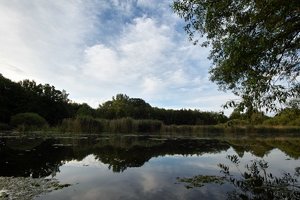 comp_SDIM1173.jpg comp_SDIM1173.jpg