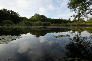 comp_SDIM1174.jpg comp_SDIM1174.jpg