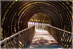 comp_Kaisergarten-9952 (Large).jpg