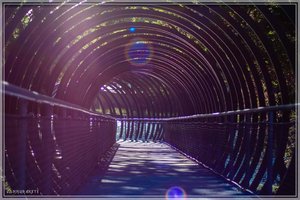 comp_Kaisergarten-9954 (Large).jpg