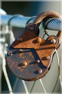 comp_Kaisergarten-9923 (Large).jpg